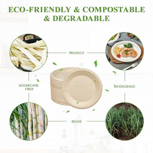 5 Pack Compostable Disposable Paper Plates nature