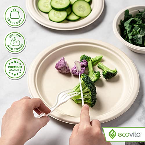 Compostable Plates 9 in