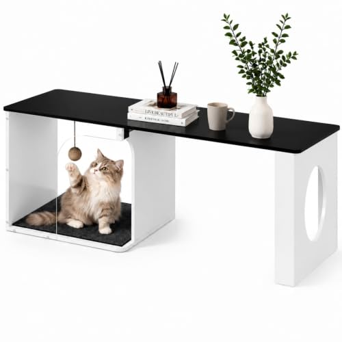 Lift Top Coffee Table with Hidden Storage