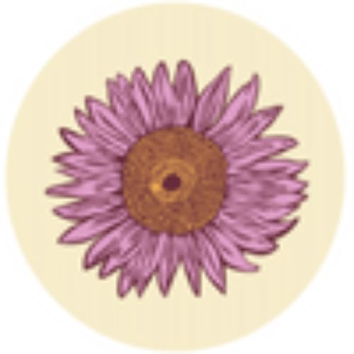Beeswax Food Wraps