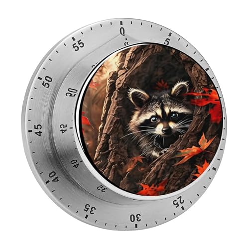 Cute Raccoon Kitchen Timer (Style-5 / One Size)