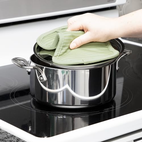 Premium Pot Holder & Hot Pad (Fennel / 4 Pack)