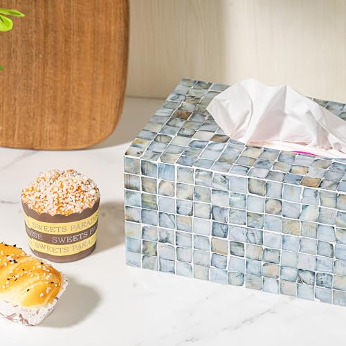 Handmade Mother of Pearl Tissue Box