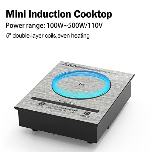 Portable Mini Induction Cooktop 700W