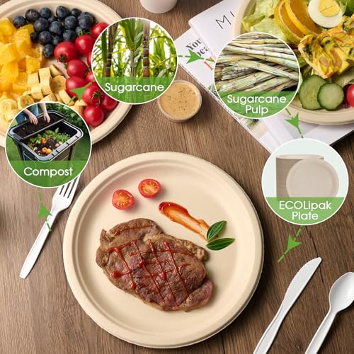 Disposable Compostable Paper Plates