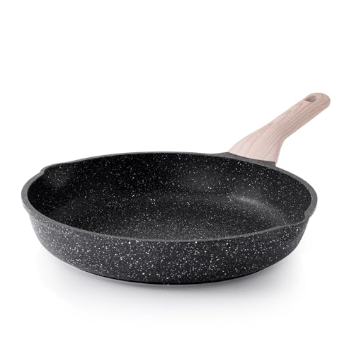 Nonstick Frying Pan Skillet