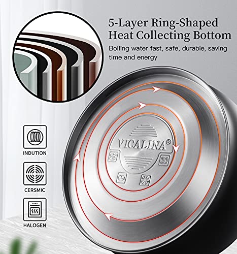 Whistling Tea Kettle