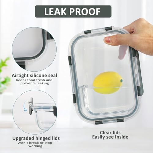 10 Pack 22 oz Glass Food Storage Containers with lids (gray)