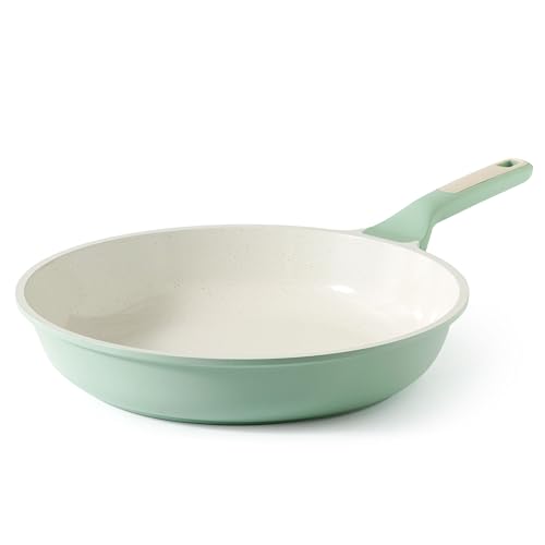 Nonstick Frying Pan Skillet