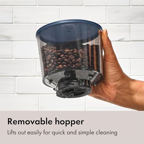 Brew Conical Burr Electric Coffee Bean Grinder (Storm Blue)