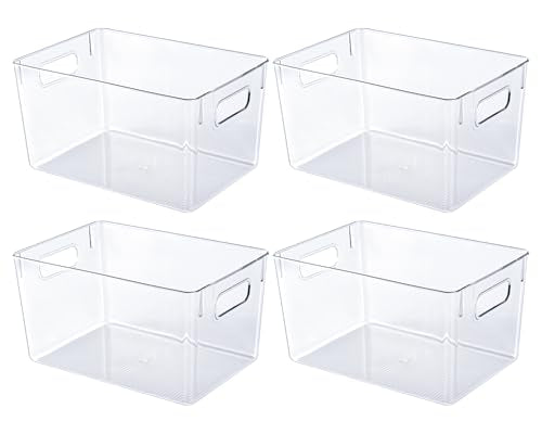 Clear Plastic Storage Bins