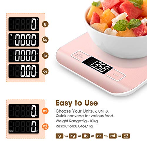 Food Scale 22lb
