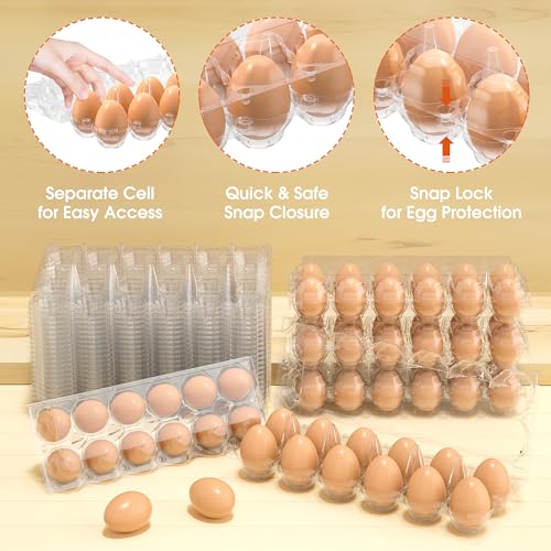 Egg Cartons Cheap Bulk