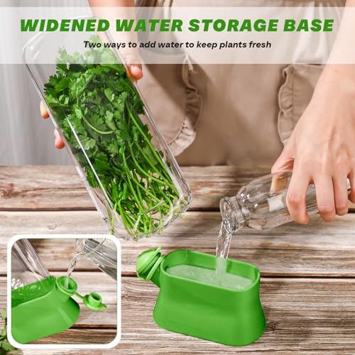 2 Pcs Herb Saver for Refrigerator Fresh Herb Keeper