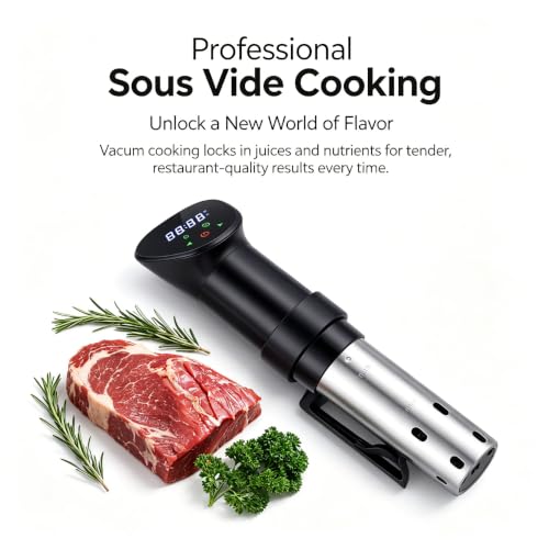 WiFi Sous Vide 1100W 220V (220V)