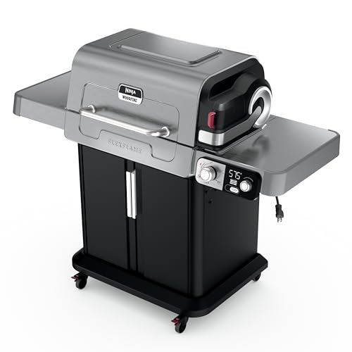 FlexFlame Grill and Smoker