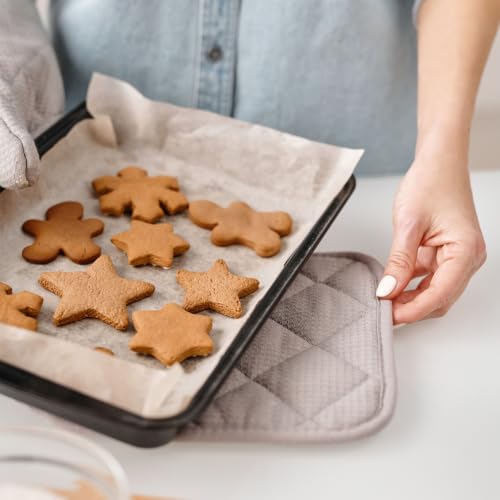 2 Pack Baking Sheets for Oven