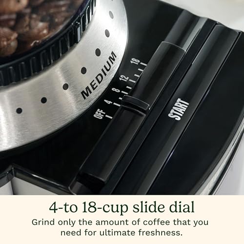 Electric Burr Coffee Grinder (Burr Mill / Stainless Steel)