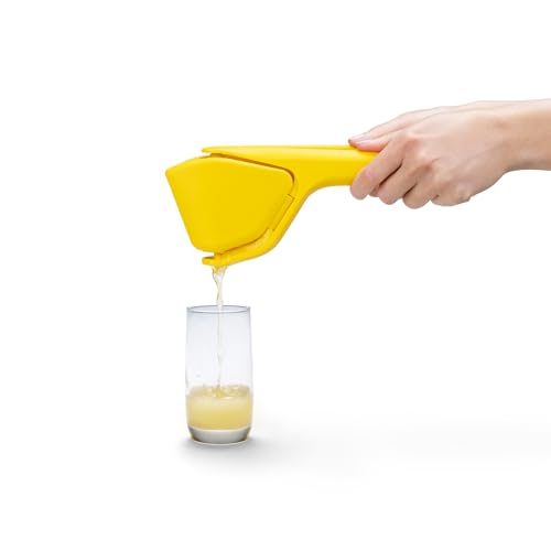 Fluicer Parent
