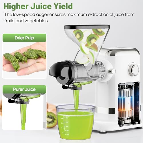 Electric juicer