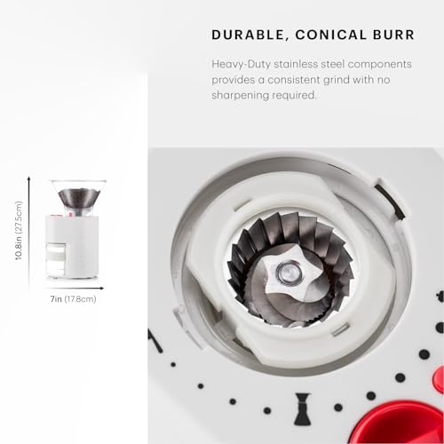 Bistro Electric Conical Burr Coffee Grinder (7.75 oz / White)