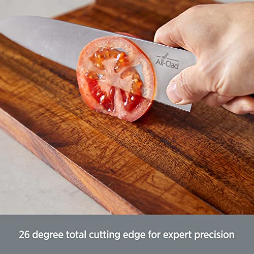 Forged German Stainless Steel Santoku Knife (Silver/Black / 7")
