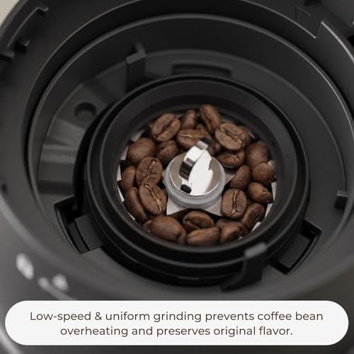 Conical Burr Coffee Grinder (Black)