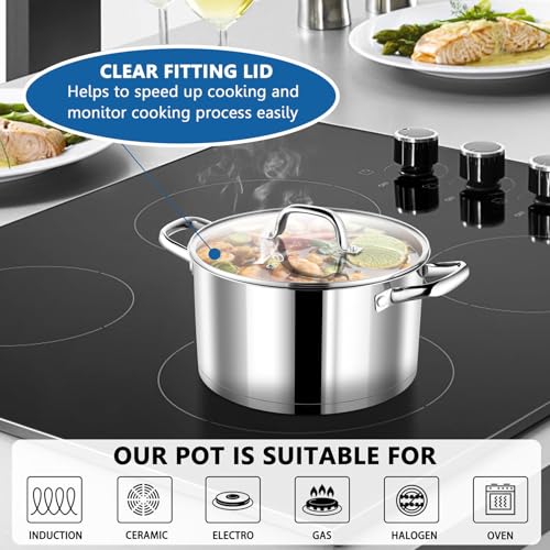 Stainless Steel Stock Pot with Lid