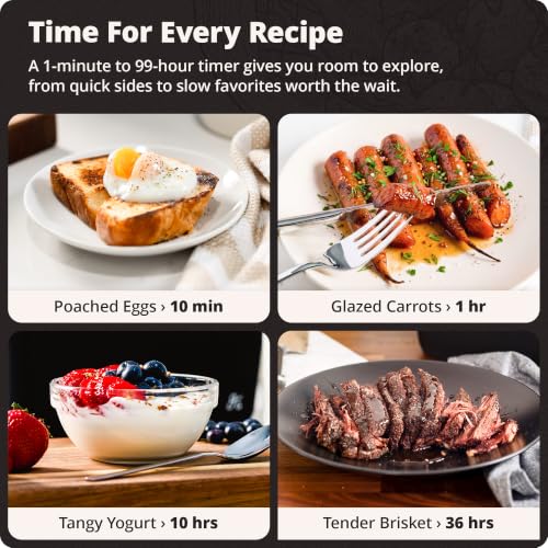 Sous Vide Cooker (Onyx Black)