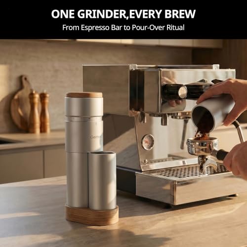 Burr Coffee Grinder (Silver)