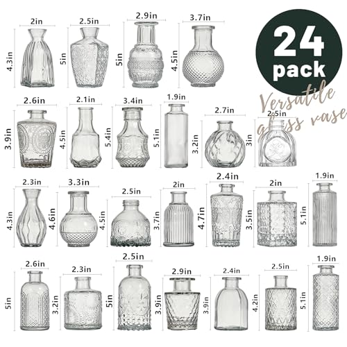 Glass Bud Vases Small Minimalist Vases for Flowers