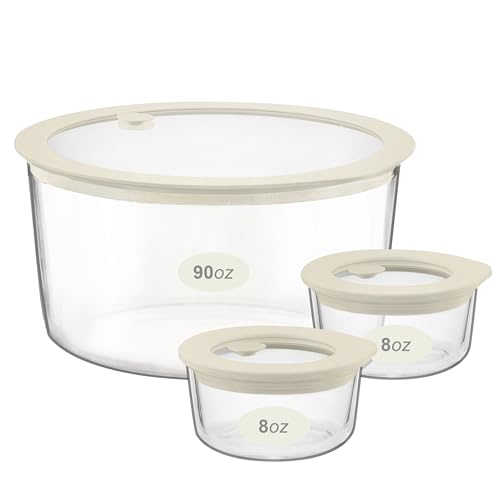 Glass Food Container Set with Glass Lid