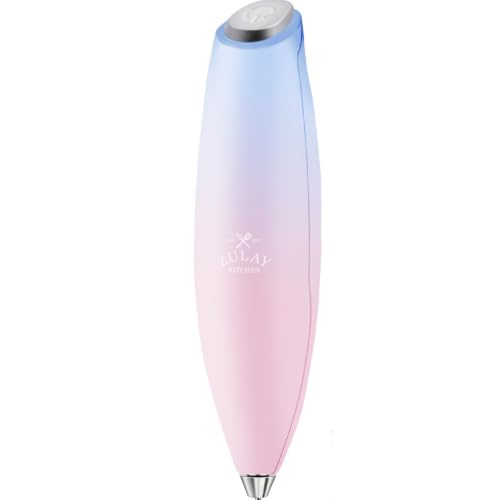 Milk Frother Mini