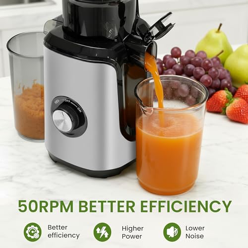 Cold Press Juicer