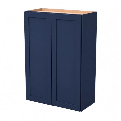 Wall Mounted Cabinet