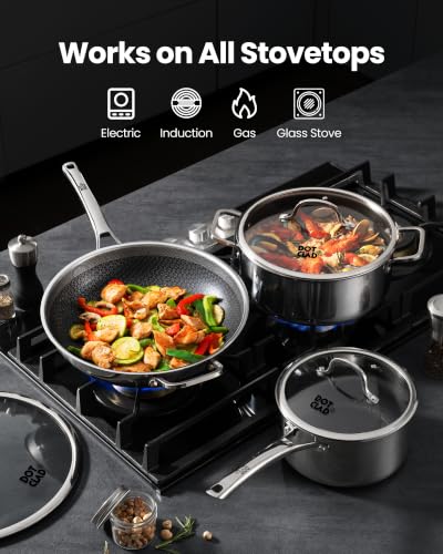 11 Piece Hybrid Stainless Steel Cookware Set