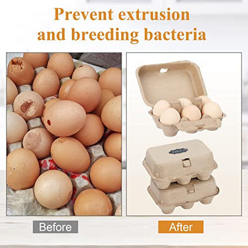Egg Cartons Bulk