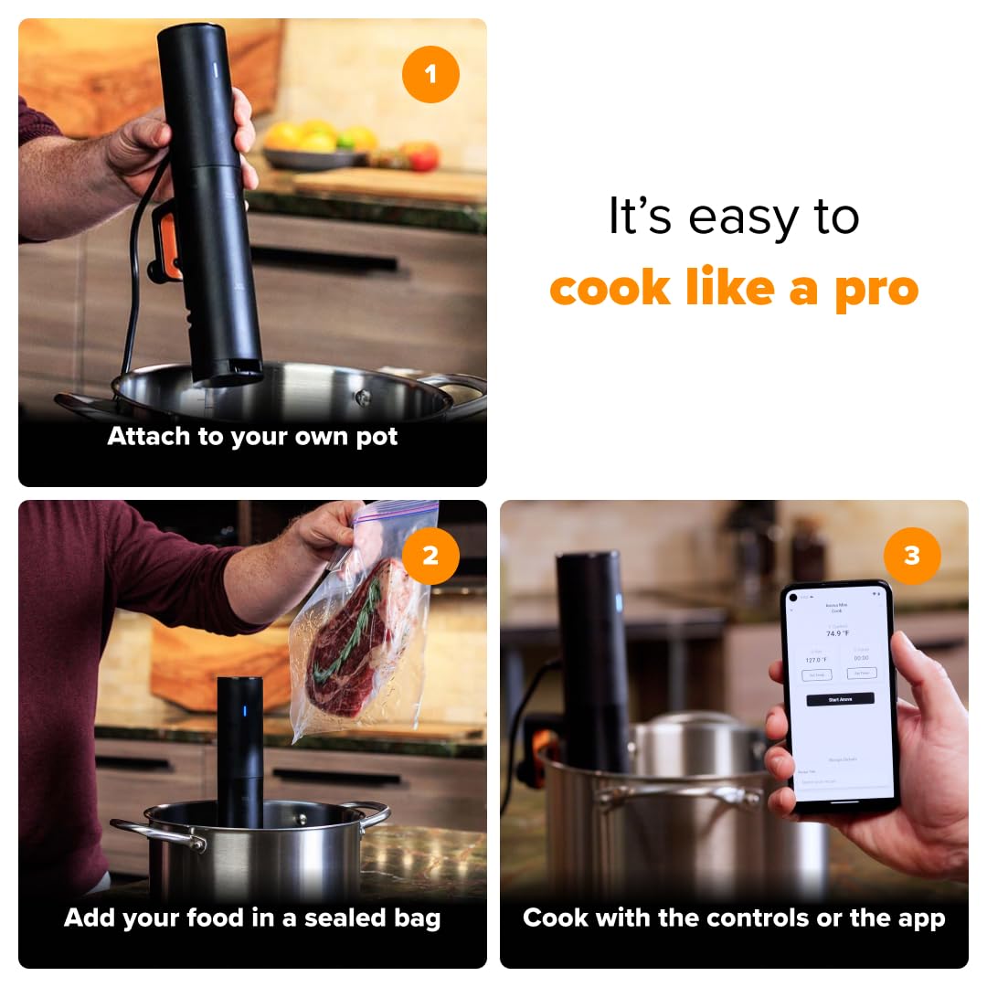 Sous Vide Precision Cooker Mini (Mini / Black)