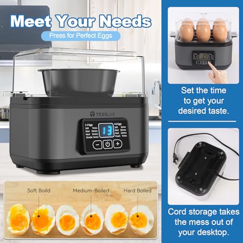 Electric Rapid Egg Cooker
