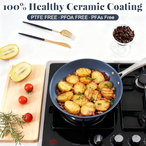 Stainless Steel Nonstick Frying Pan Set