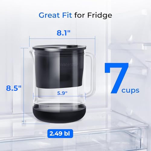 Glass Water Filter Pitcher