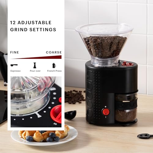 Bistro Electric Conical Burr Coffee Grinder (7.75 oz / Black)