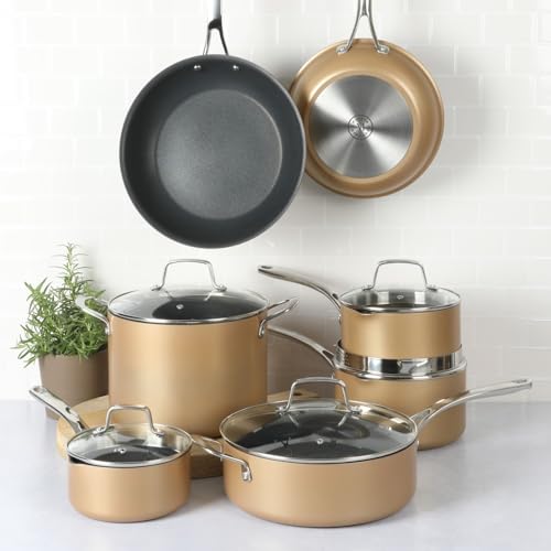 Badgley Hybrid Nonstick TriPly Stainless Steel Cookware with Stay Cool Handle