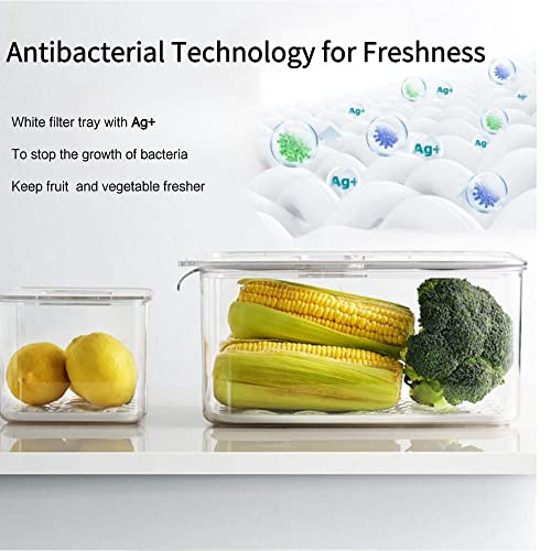 Fresh Produce Saver for Refrigerator