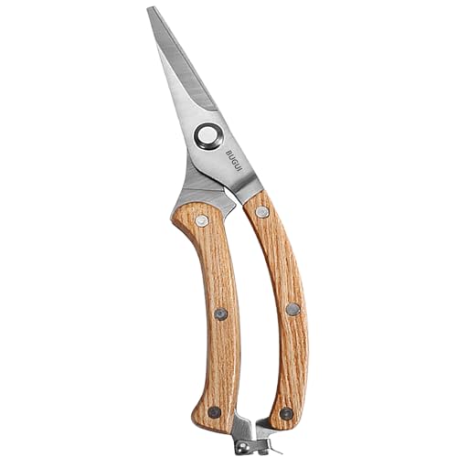 Pruning Scissors