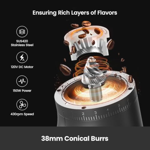 Electric Conical Burr Coffee Grinder (Gray)