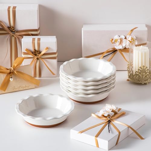 Pie Pan 12 OZ Mini Pie Dish Set of 6