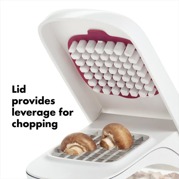 Good Grips Vegetable and Onion Chopper with Easy Pour Opening (One Size / Chopper)