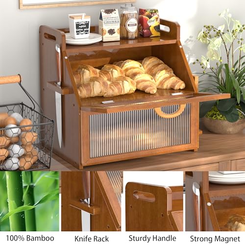 Bread Box for Kitchen Countertop (Vintage)