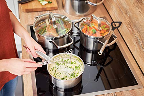 Stainless Steel Baloon Egg Whisk